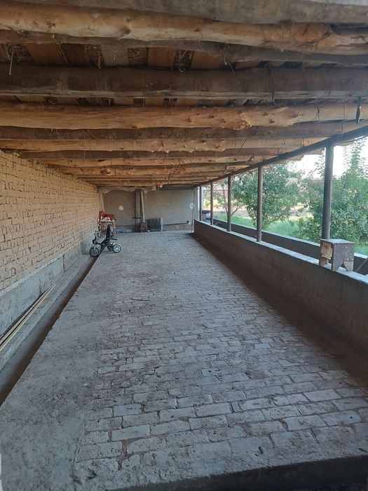 Arendaga mini ferma. 20ta buqa sigadiga joy