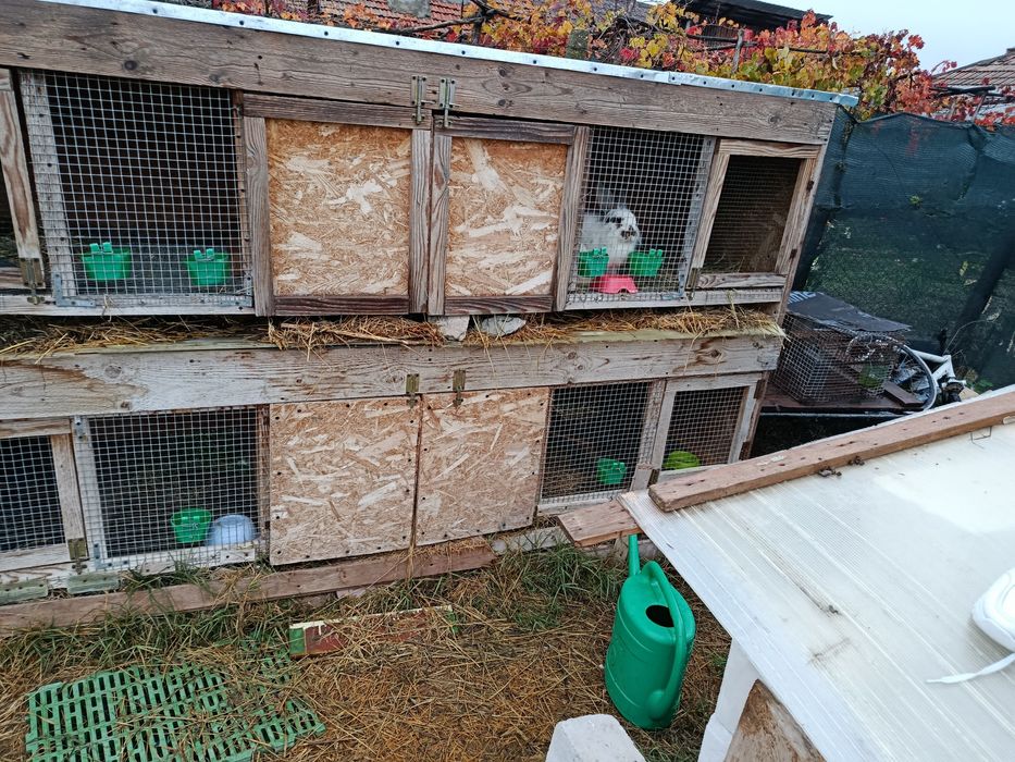 Coteț de iepuri bun și ieftin