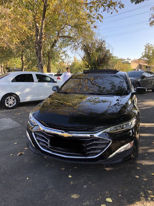 Malibu 2’4 full polni primer  qilngan