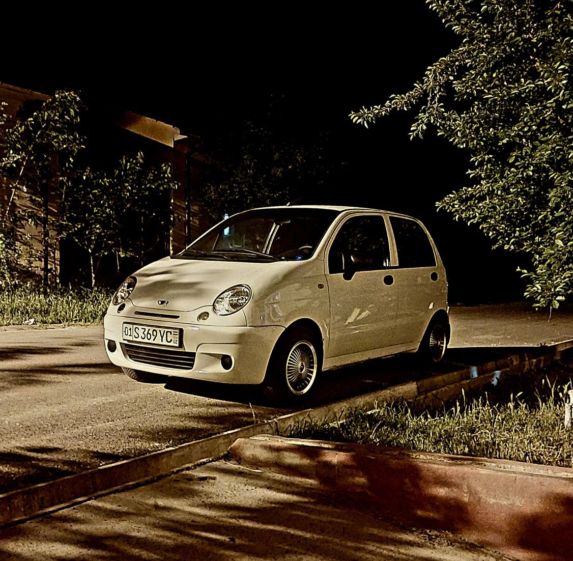 Matiz suxoyga beriladi.