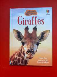 Giraffes Usborne