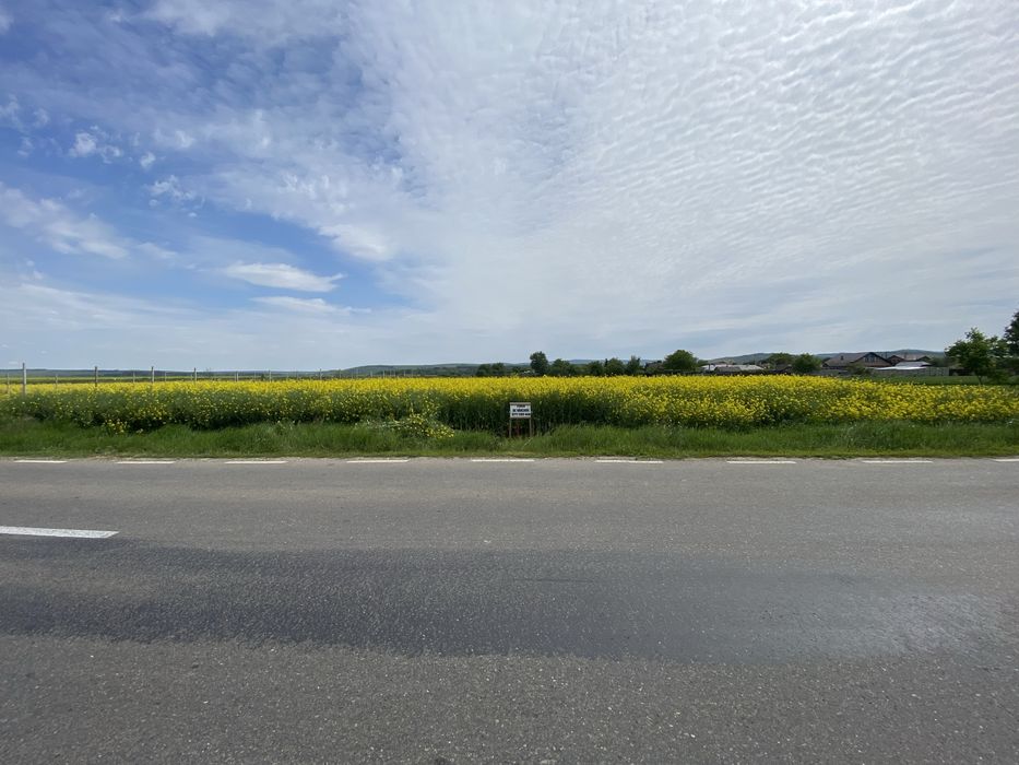 Teren de vanzare - Roman