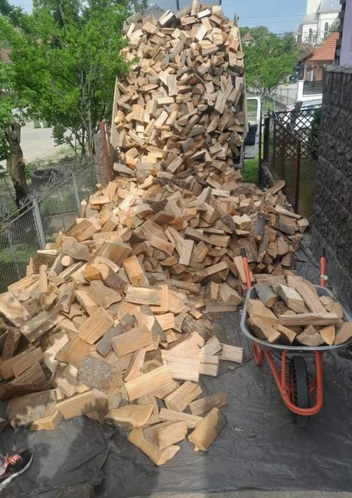 Lemn lemne de foc uscate tăiate crăpate