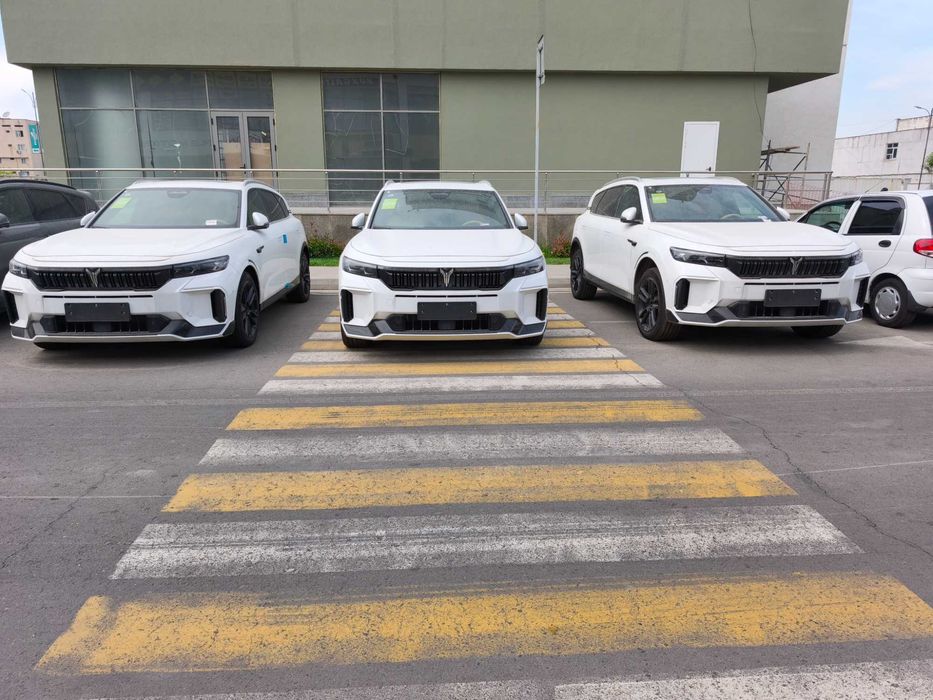 Русификация VOYAH прошивка с гарантией.