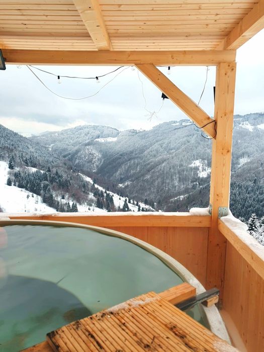 Cabana(Tara Motilor)--Cabana PIN 1000m Disponibila Revelion!