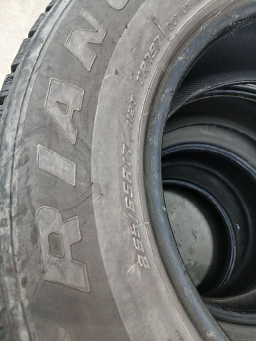 Зимние шины triangle