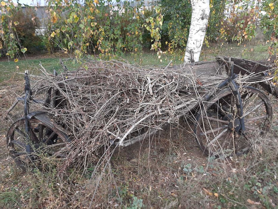 Vand Căruță veche de decor