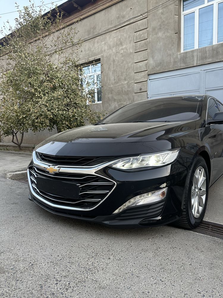 Malibu 2 premier