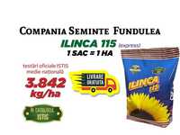 samanta floarea-soarelui Premium ILINCA 115, seminte 2023