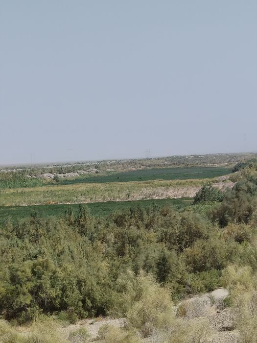 Tayyor bizness bilan shug'ullanuvchilar uchun