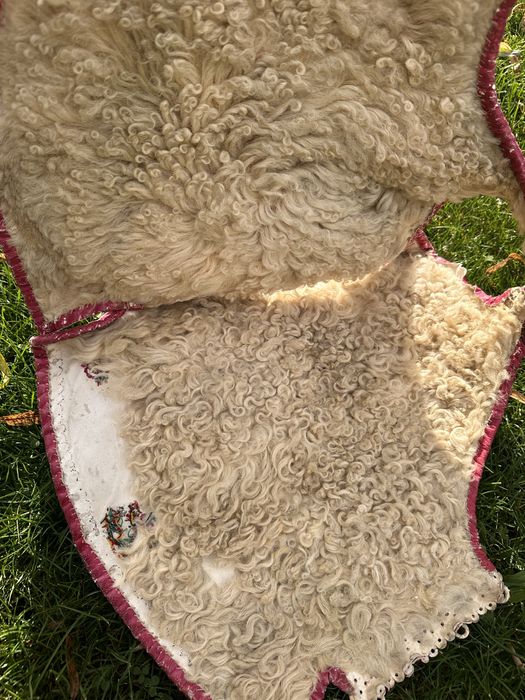 Pieptar Sibiu - 1912