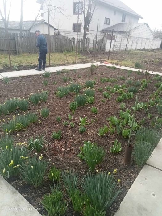 Casa de vânzare Traian Slobozia