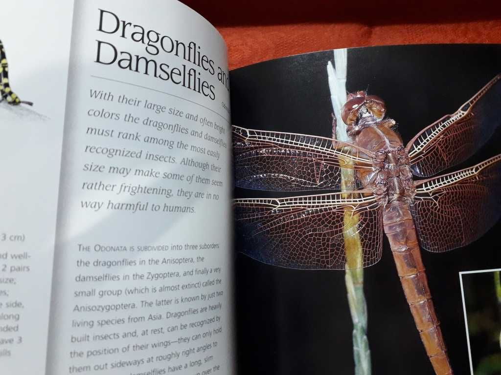 Enciclopedia insectelor si paianjenilor, format 25/20cm, volum nou