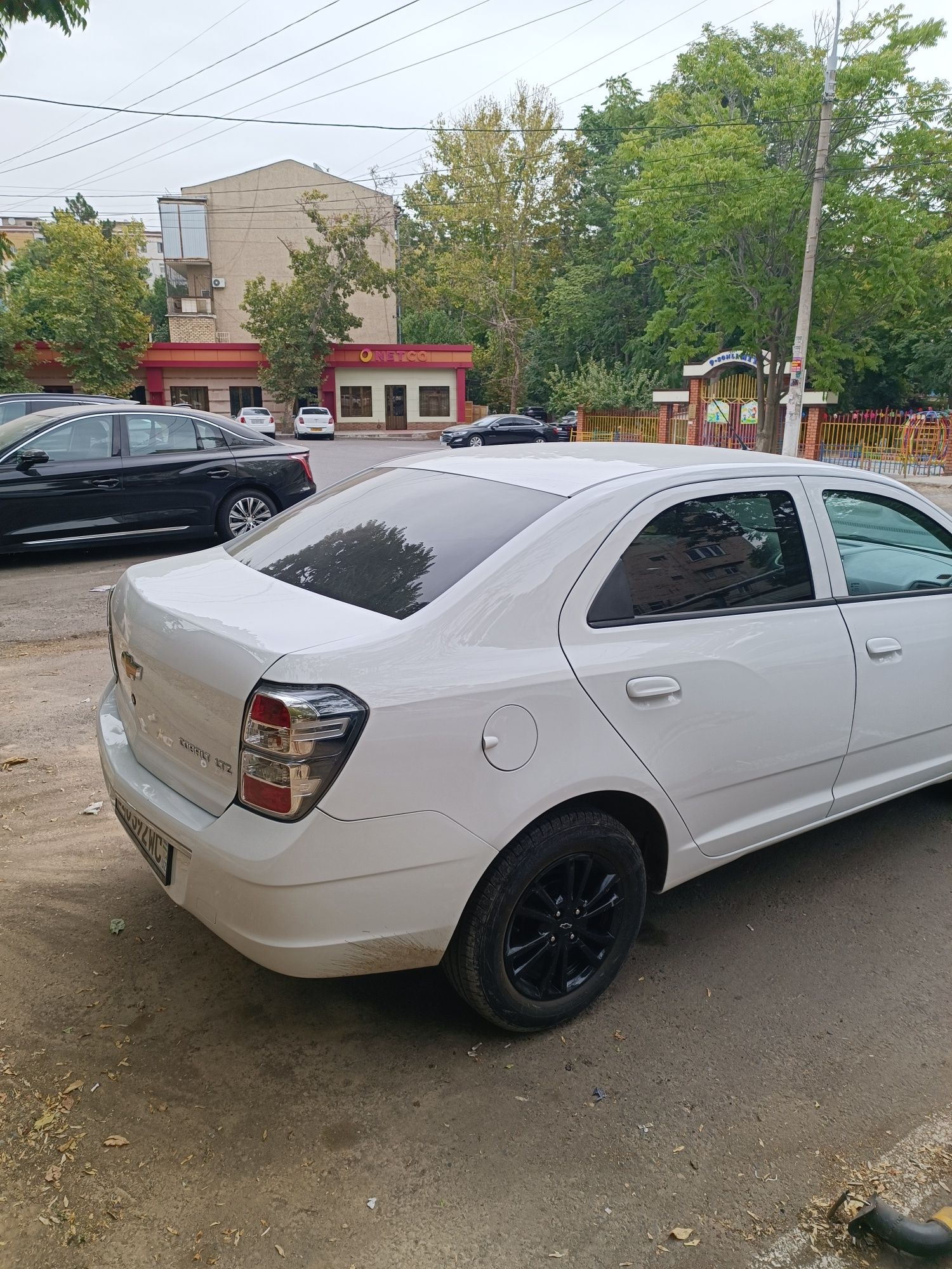 Cobalt midnight 2025 Аренда