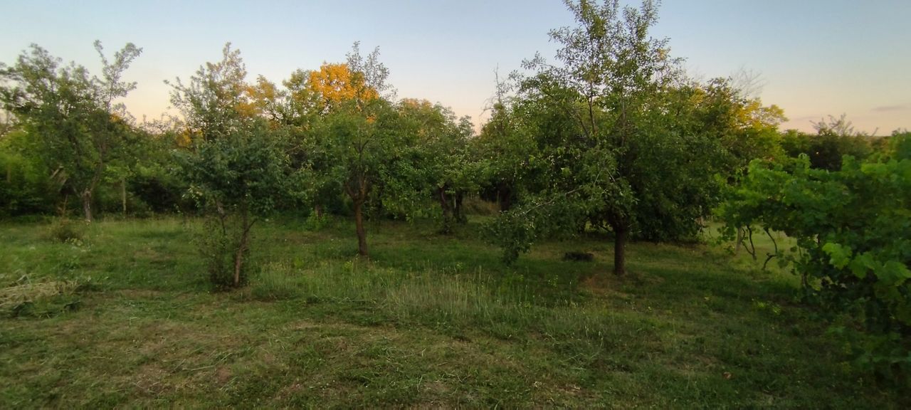 Продава се Къща в Ловеч, Червен бряг - 25 кв.м за 510 €/кв.м - Снимка #4