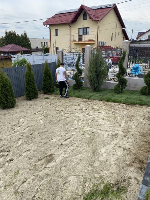 Gazon rulou si plante ornamentale