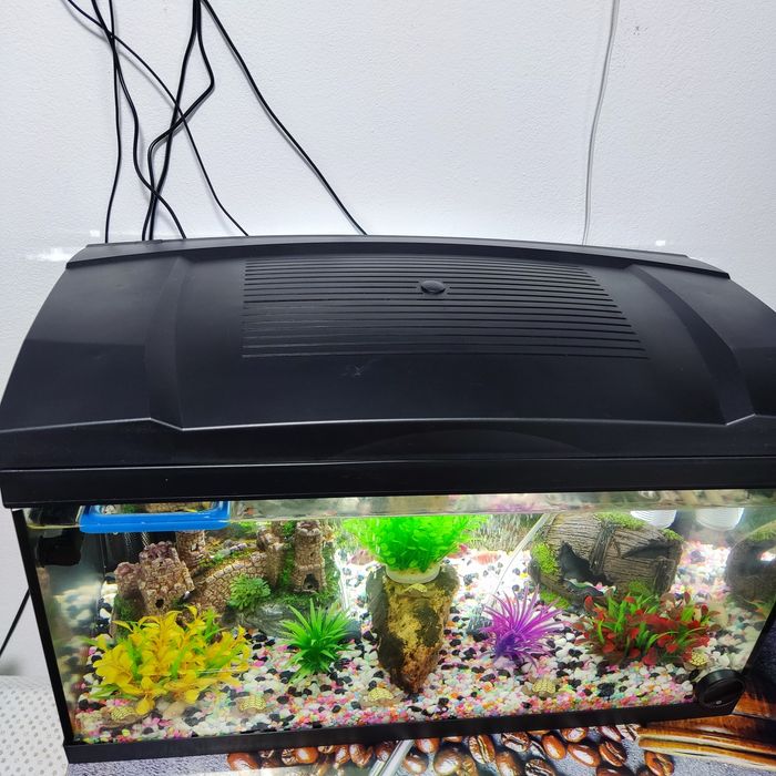 Acvariu pești 60L