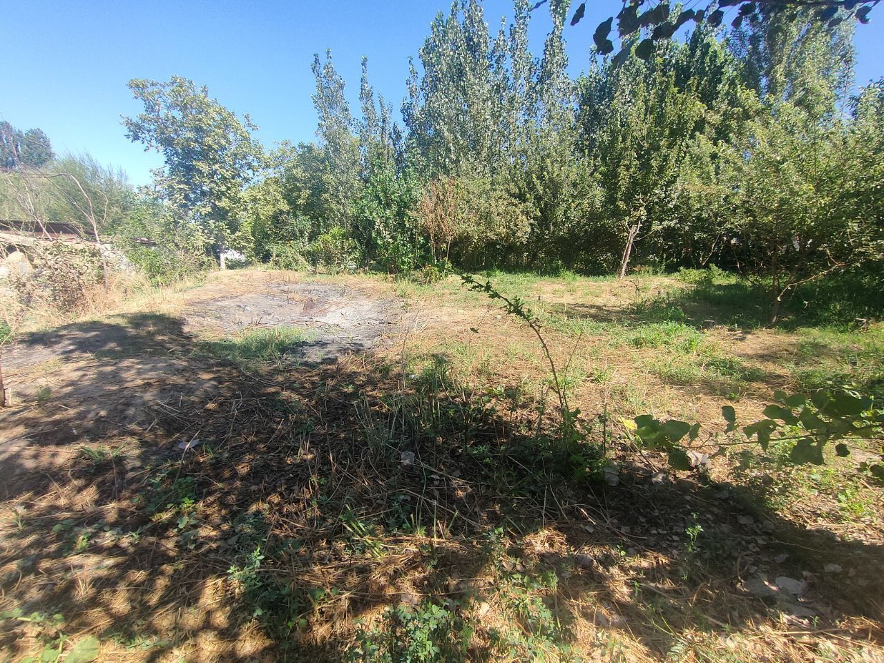M39 Yangiyoʻl tumanida 8 sotix uchastka sotiladi
