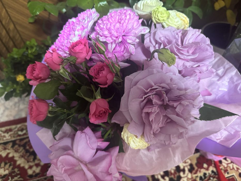 продам цветы свежие