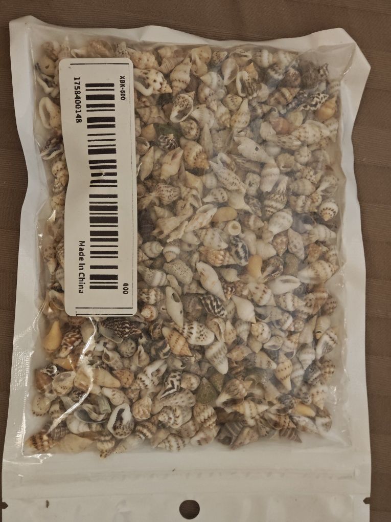 Натуральные ракушки