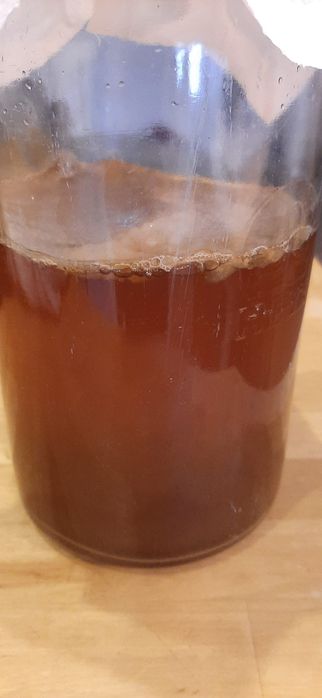 Ceai, kombuchea sau ciuperca