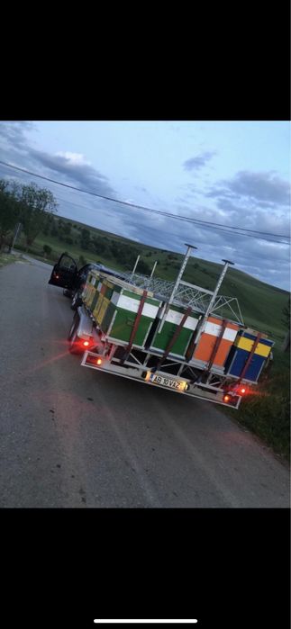 Modul apicol 36 pozitii