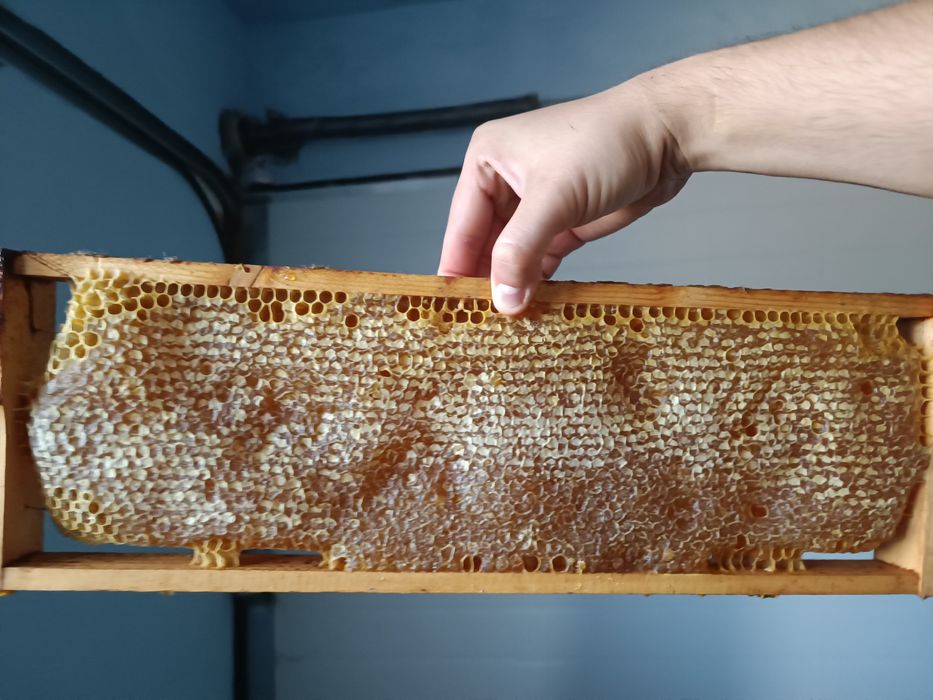 Vând rama cu fagure si miere (transport gratuit in Arad)