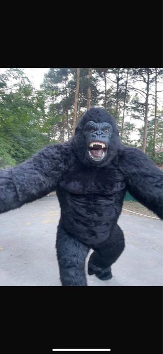 Аниматор 3 метр 80 мын тг