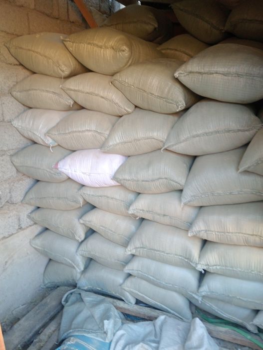 Опилка сухои қапталған құрғақ