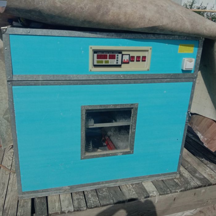 Инкубатор сатылады