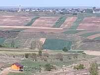 Vând teren la pădure