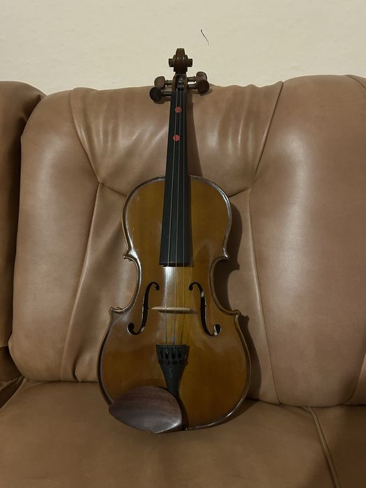 Vioara Sentor Student 1