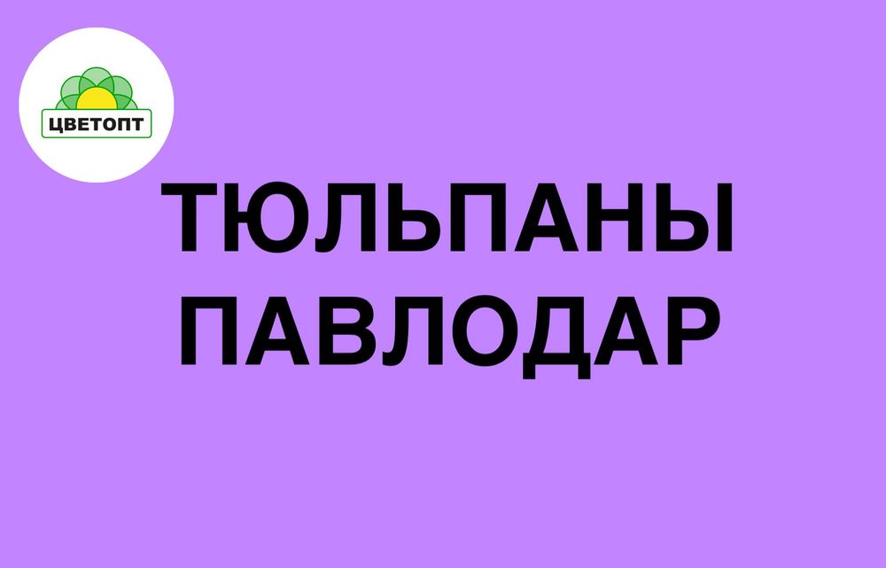 Тюльпаны оптом Павлодар