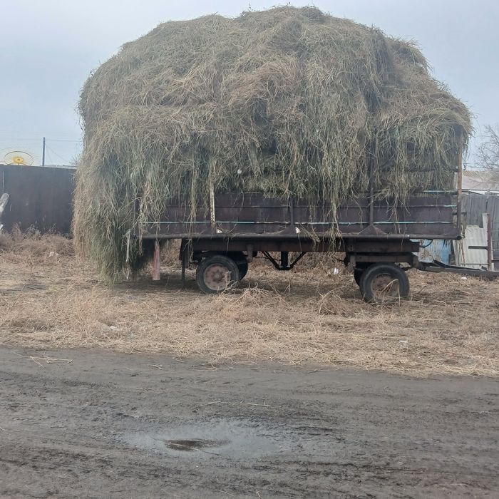 Продам сено Маискии раион село Көктөбе