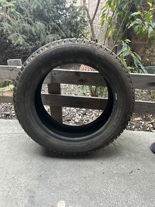 Зимниее шиповонные