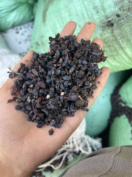 Yem qoy va mollar uchun yemish