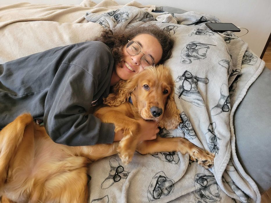 Pet-sitter / dog-sitter / cat-sitter