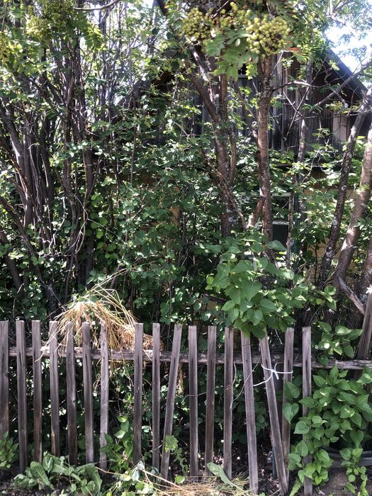 СРОЧНА Дача обмен на машину Г. Щучинск(боровое)