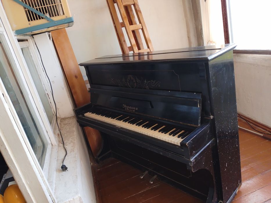 Панино сотлади Украина