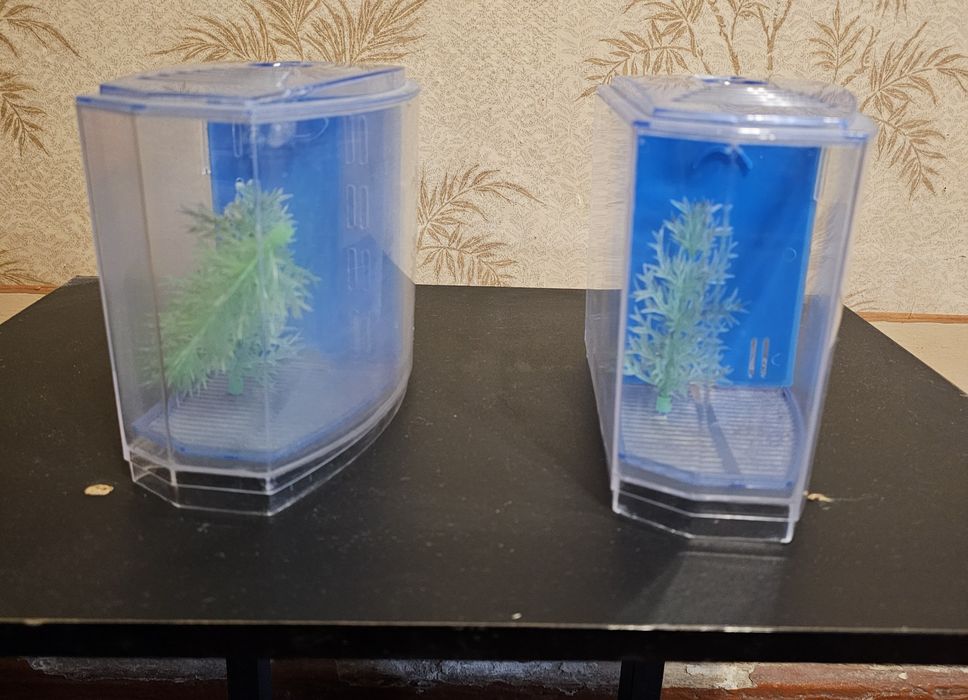 Мини аквариумы для петушков,  мальков.