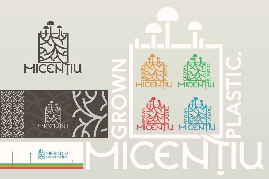 Servicii de Logo Design, Branding și Strategie pentru Afaceri