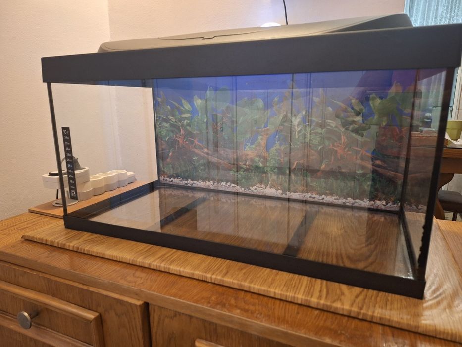Acvariu Tetra 54l complet