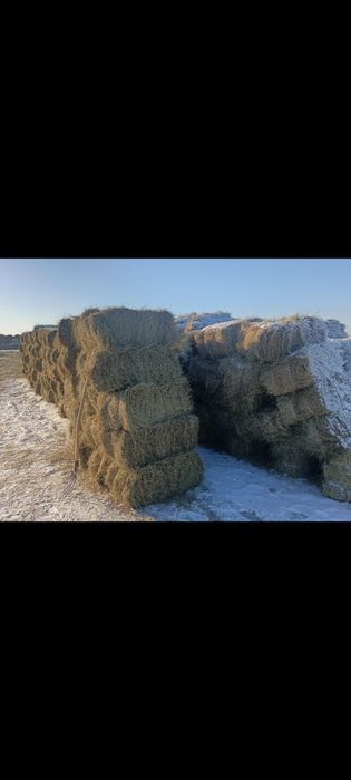 Сено тьюки с доставкой