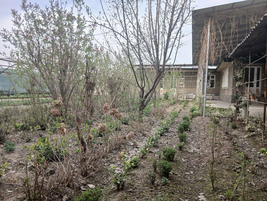 Arzon xovli Arzon uchastka Quruq er xisobida sotiladi