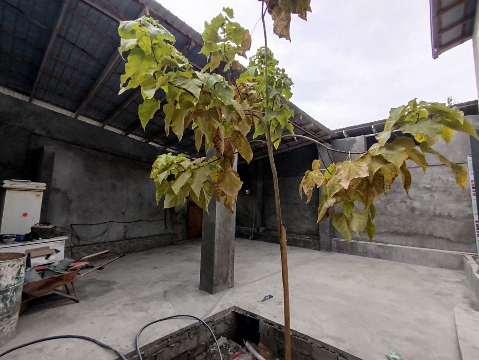 Bektemir rovd M.Auezov koʻchasida