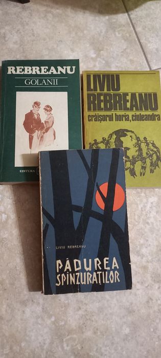 Romane Autori Romani