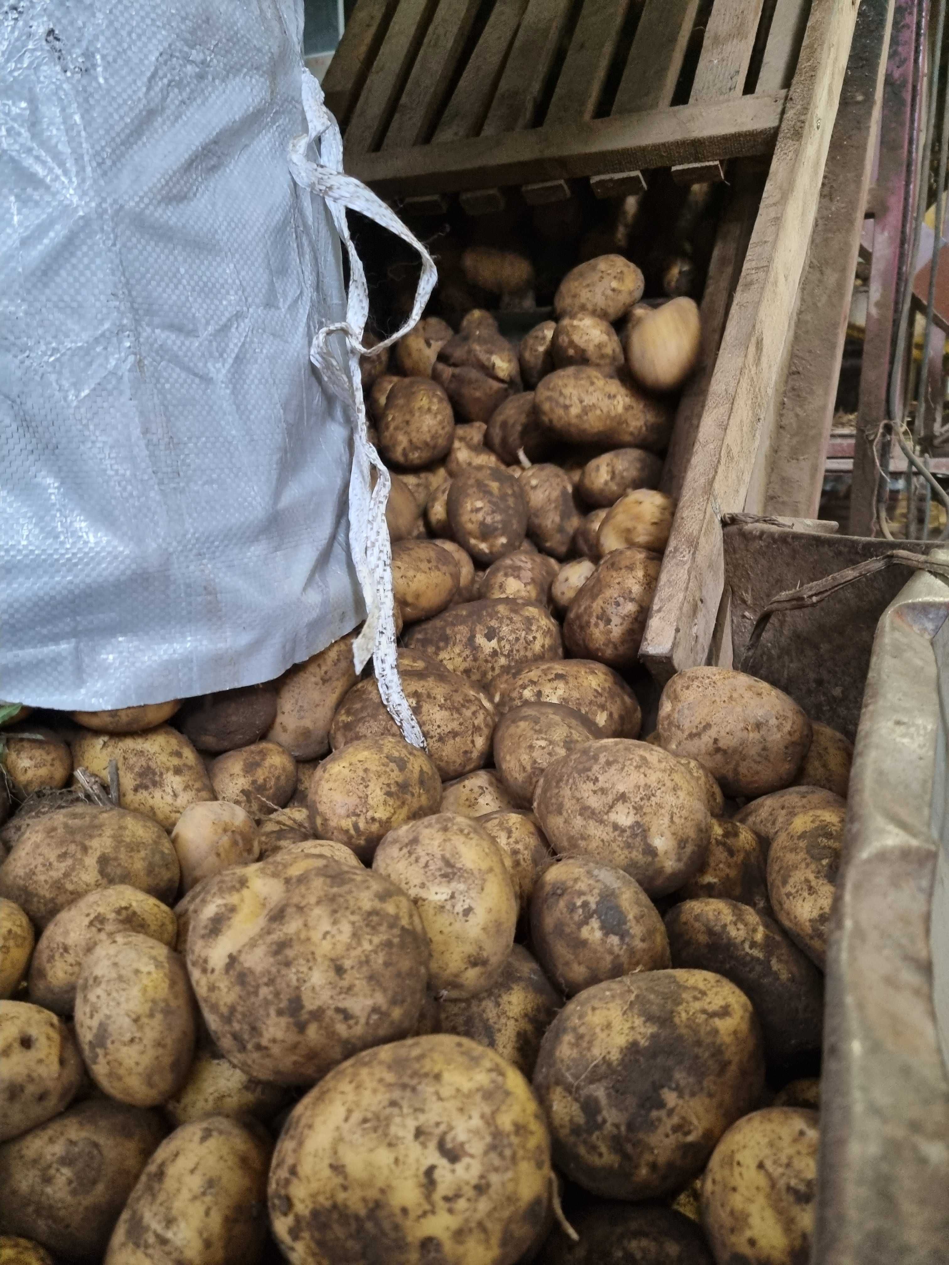 Продавам Картофи