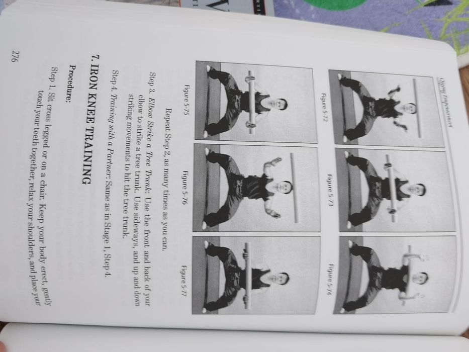 Tai Chi, Qi Gong, Radiant Lotus, Taoism, Wudang Kung Fu, Shaolin Kung