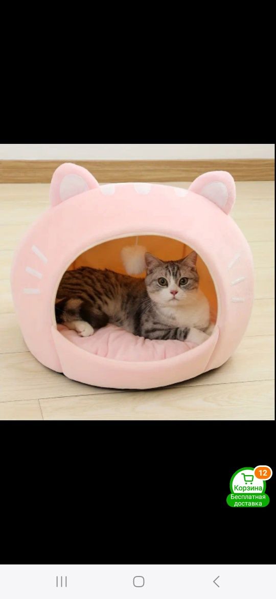 Кошачий дом, Дом для кошки
