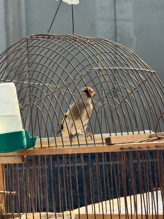 Sotilad sayroda 100 min